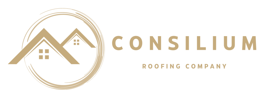 Roofers in London