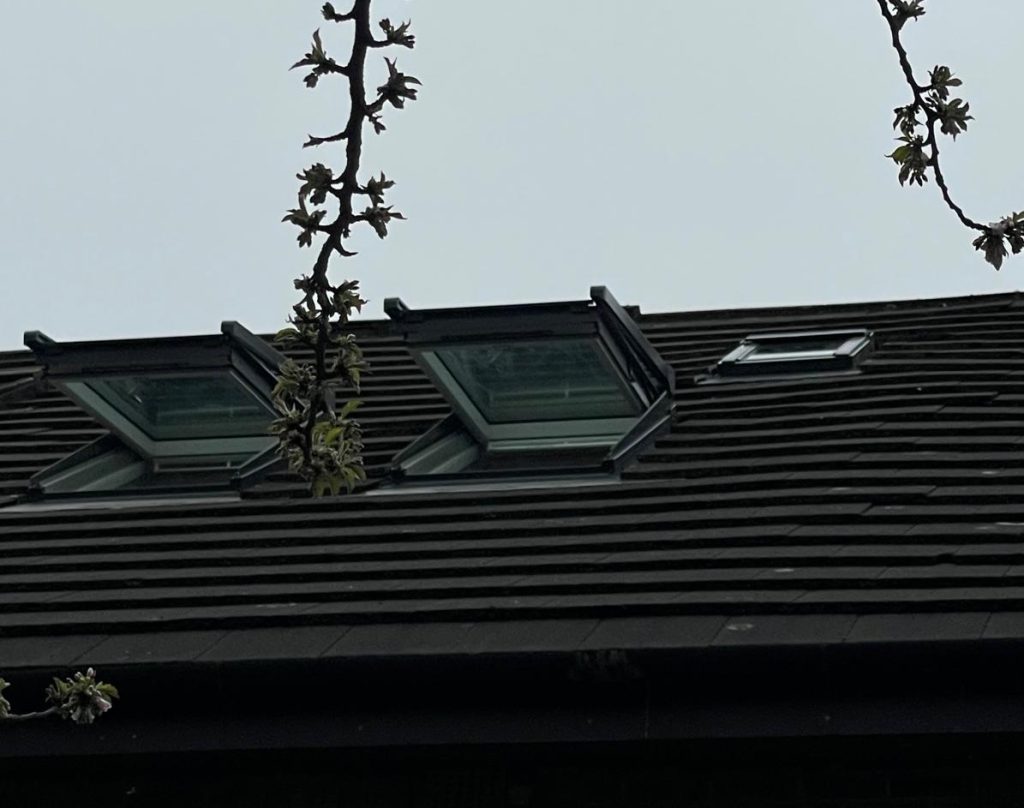 New VELUX Window Installers in Kensington