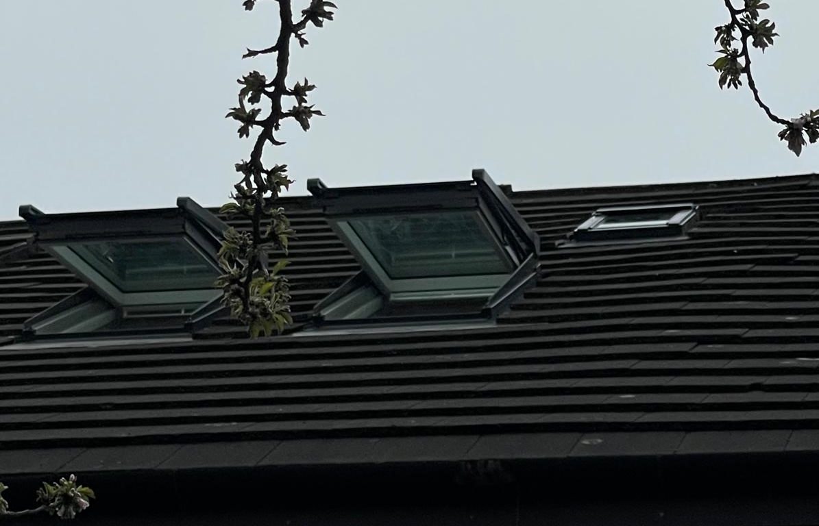 New VELUX Window Installers in Kensington