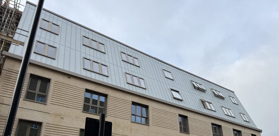 Commercial Velux Windows